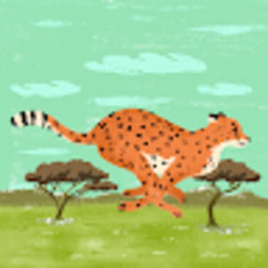 Meet your Posher, Macy